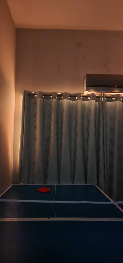 Table Tennis 