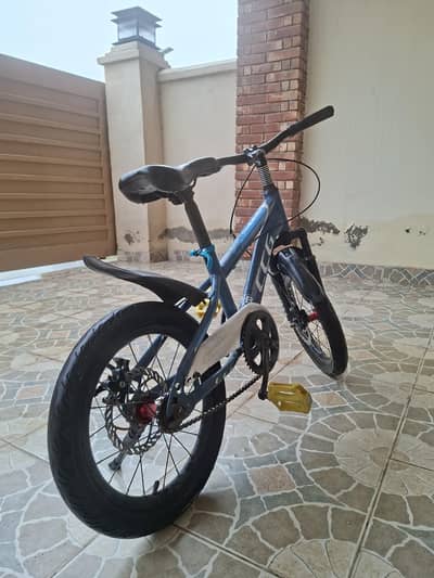 16" Bicycle Excellent Condition