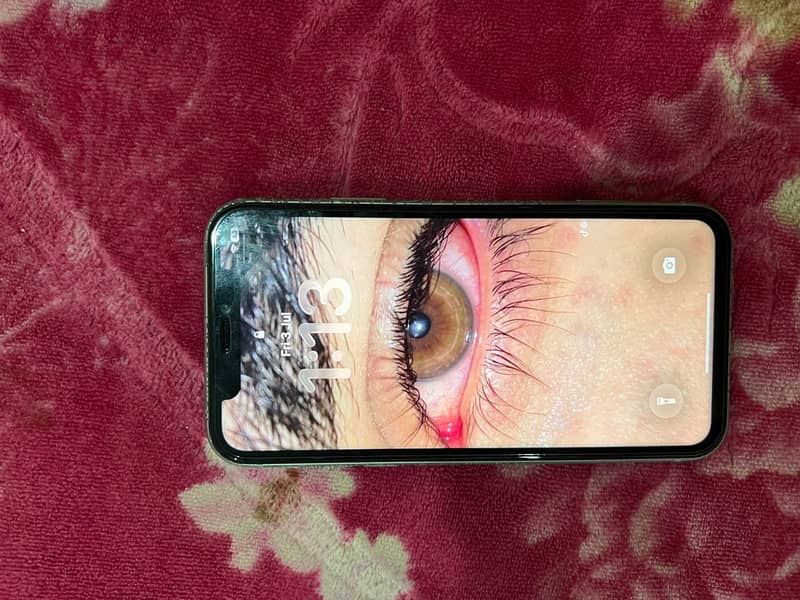 Apple iPhone 11 2