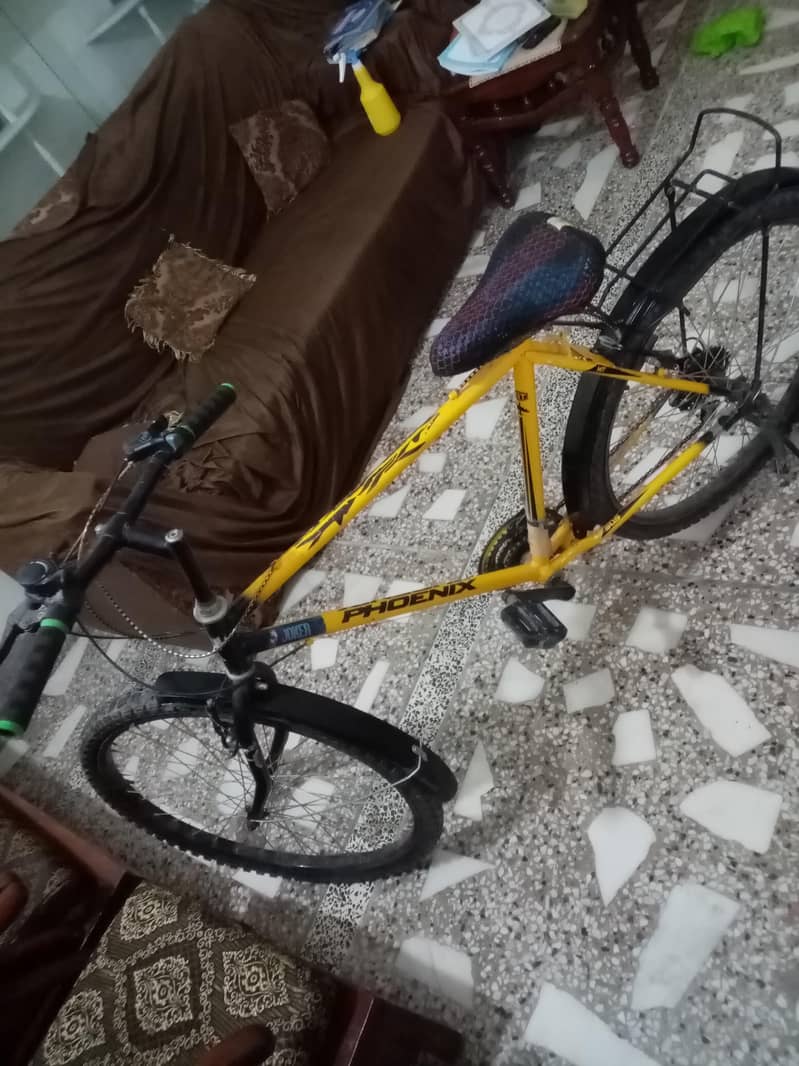 Phoenix Bicycle 0