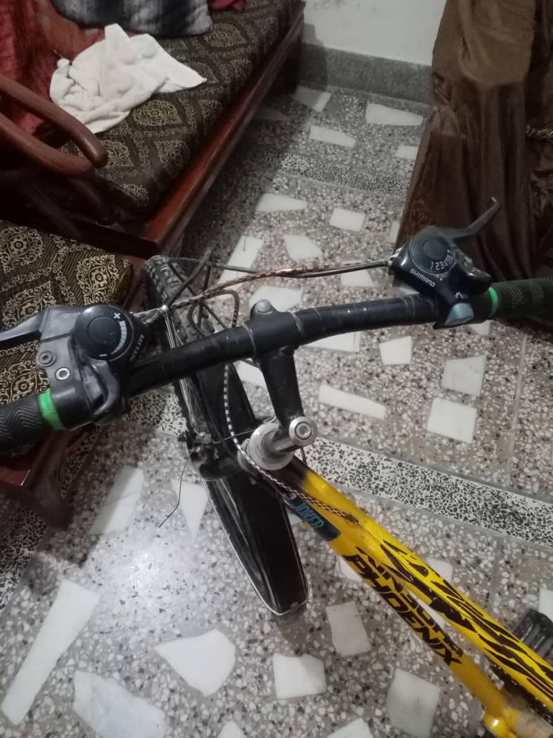 Phoenix Bicycle 1
