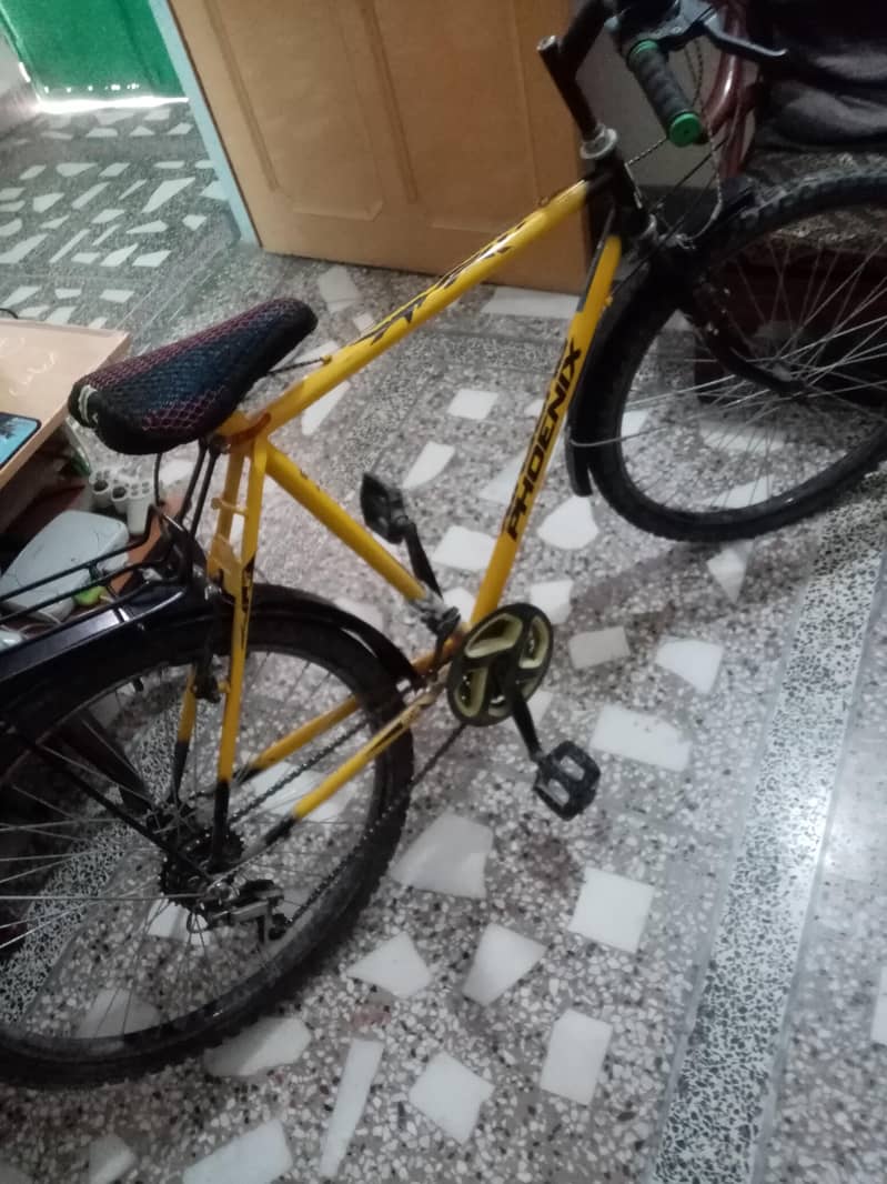 Phoenix Bicycle 2