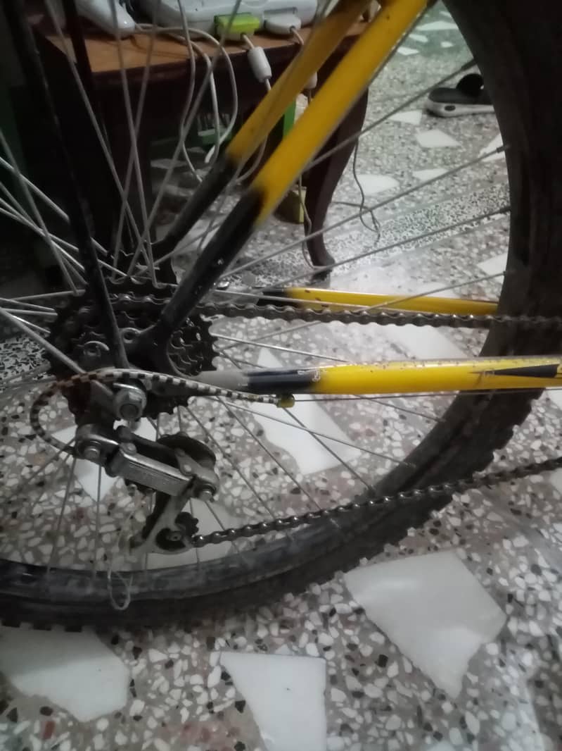 Phoenix Bicycle 3