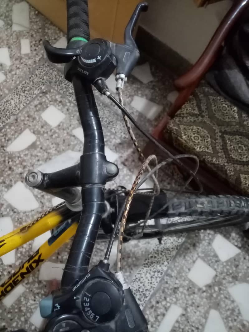 Phoenix Bicycle 4