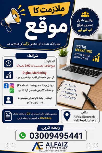 Need marketing boy
