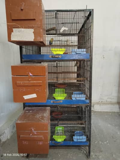 Birds cage 3 feet by 2 feet by 15 inches per portion