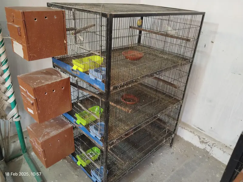 Birds cage 3 feet by 2 feet by 15 inches per portion — photo 2