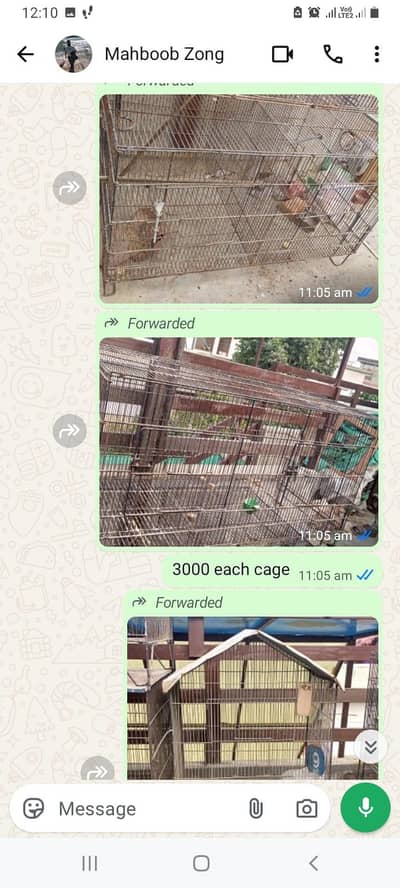 Birds Cage