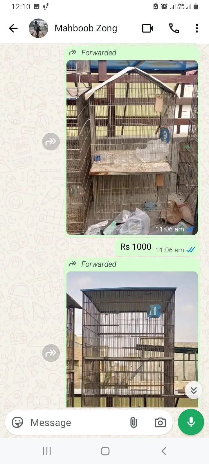 Birds Cage — photo 2