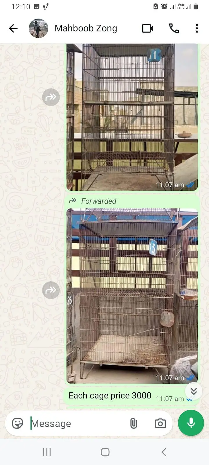 Birds Cage — photo 4