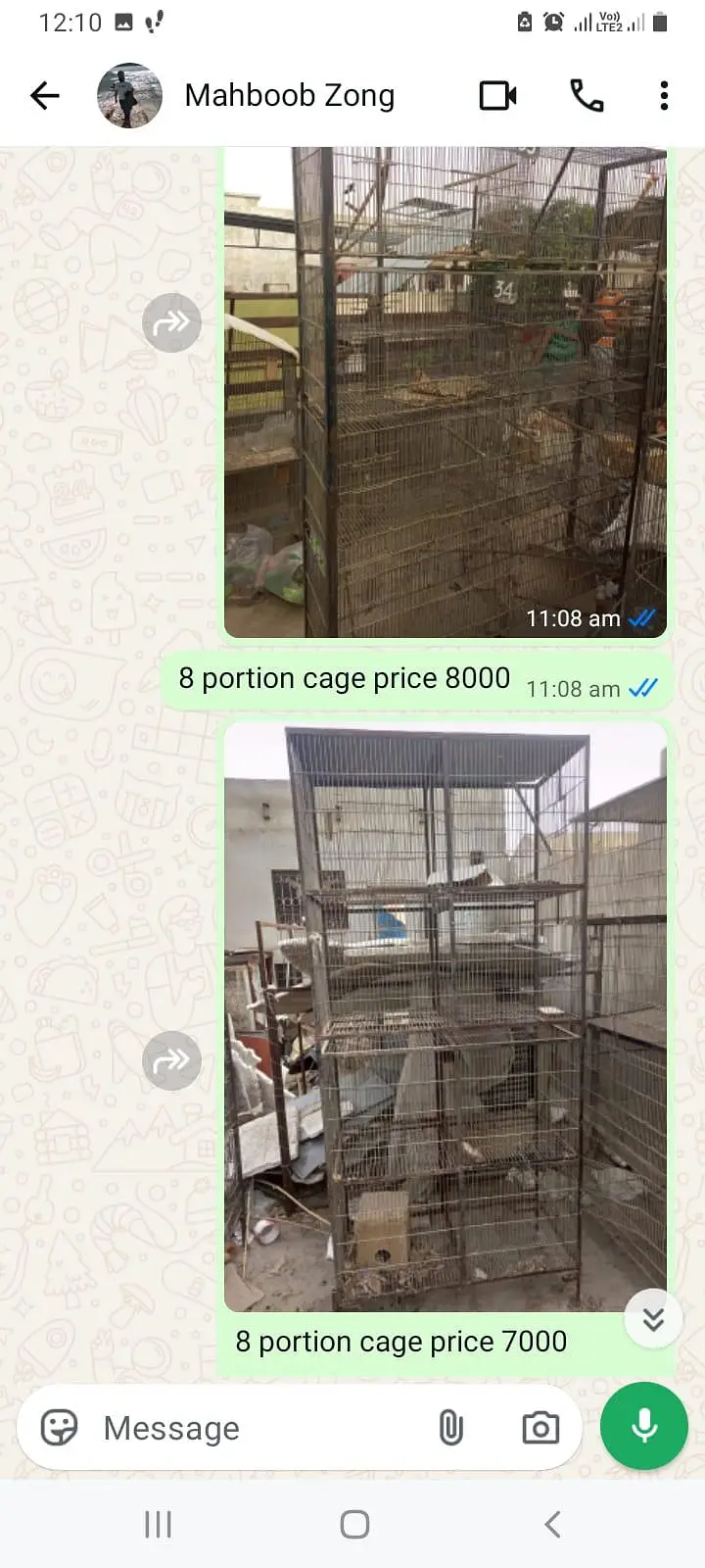 Birds Cage — photo 5