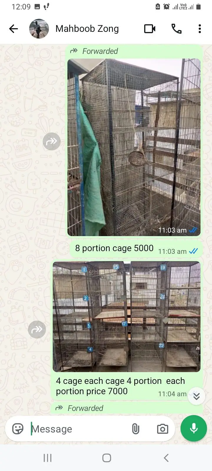 Birds Cage — photo 6