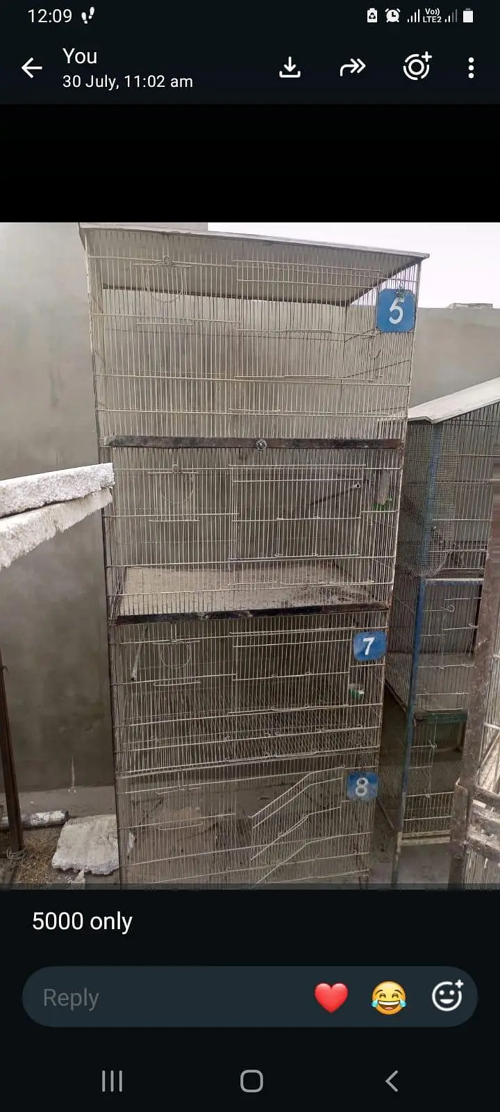 Birds Cage — photo 7