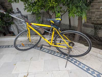 Bicycle for sale