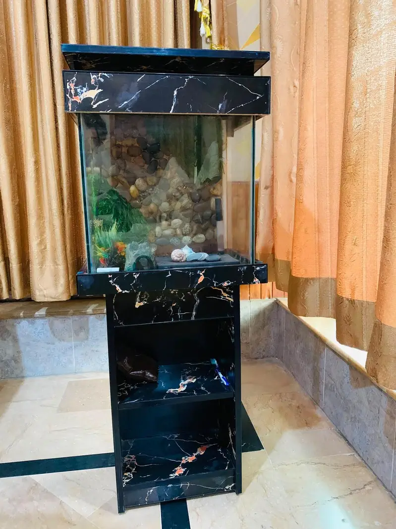 aquarium — photo 2