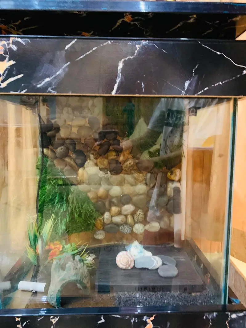 aquarium — photo 3