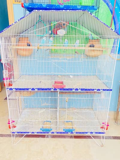 Bird Cage