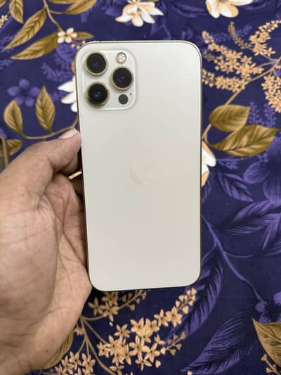 Apple iPhone 12 Pro Max