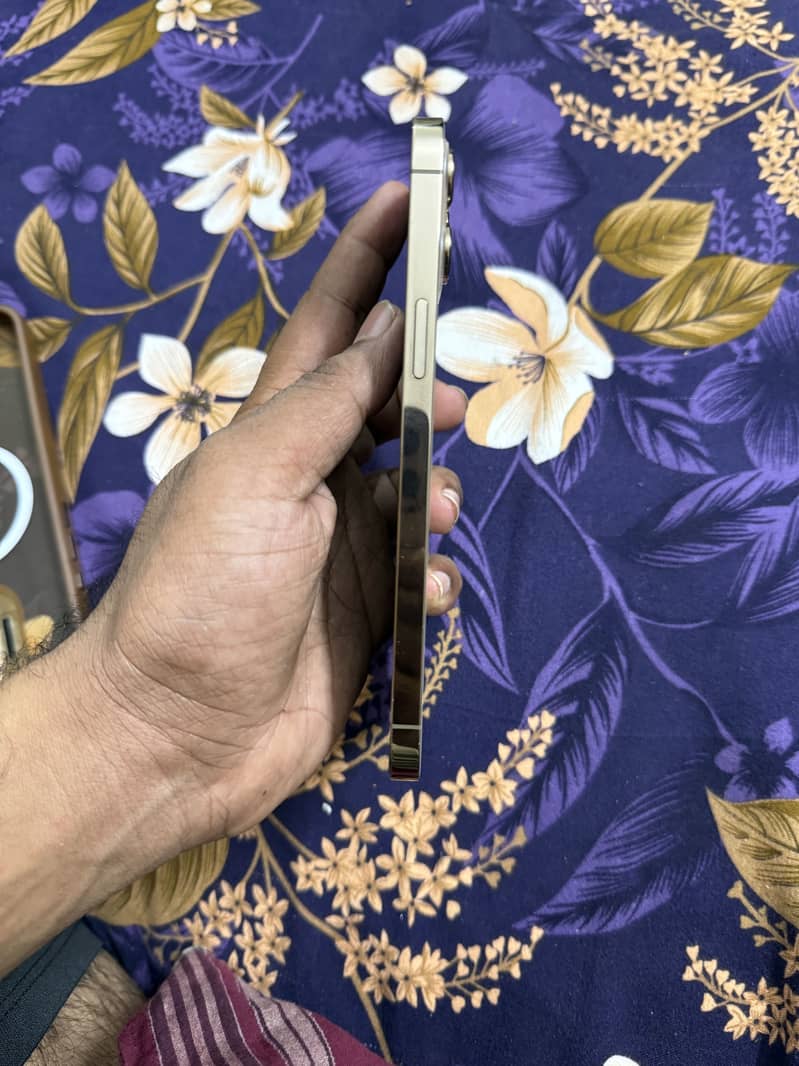Apple iPhone 12 Pro Max 2