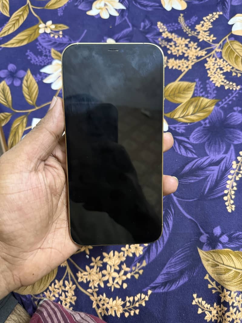 Apple iPhone 12 Pro Max 6