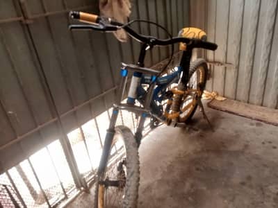 Morgan cycle
