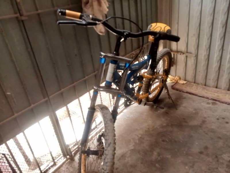 Morgan cycle 0
