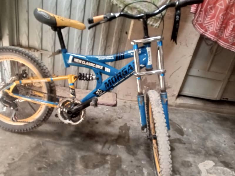 Morgan cycle 1