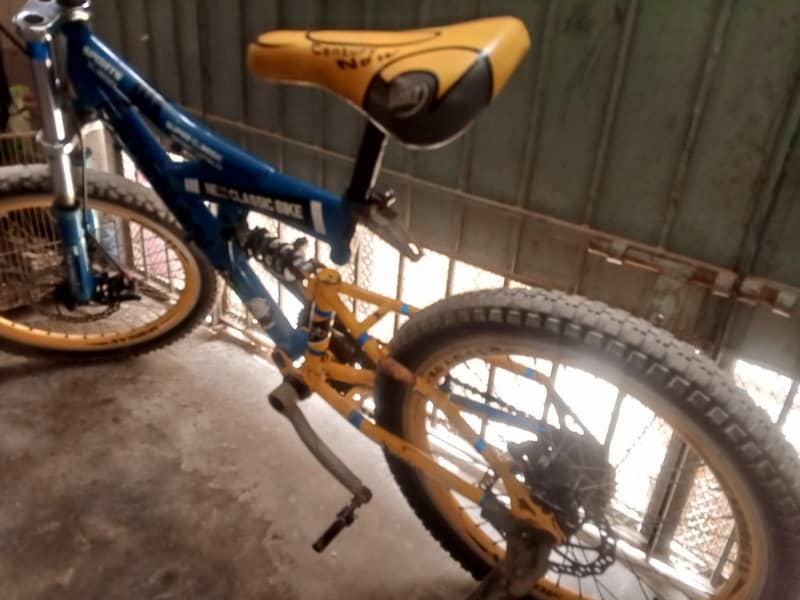Morgan cycle 2