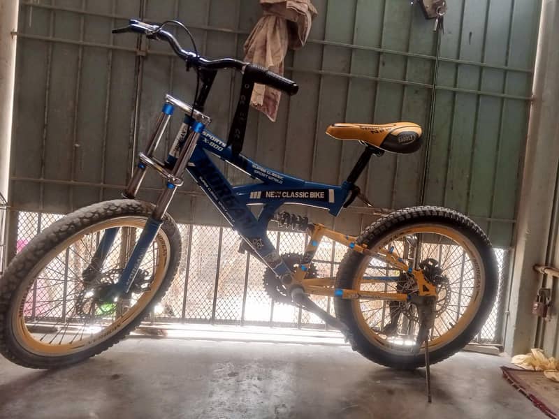 Morgan cycle 6