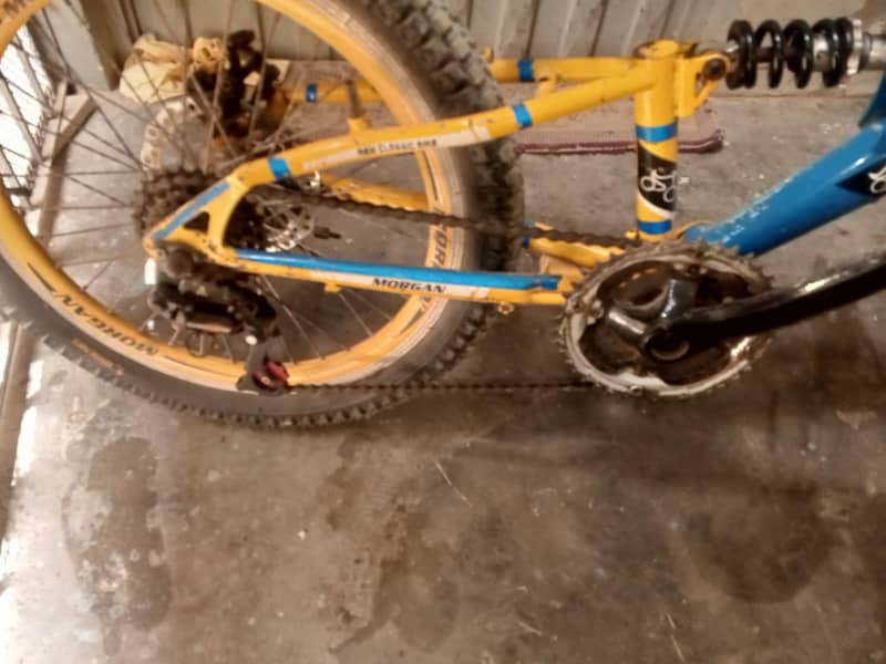 Morgan cycle 7