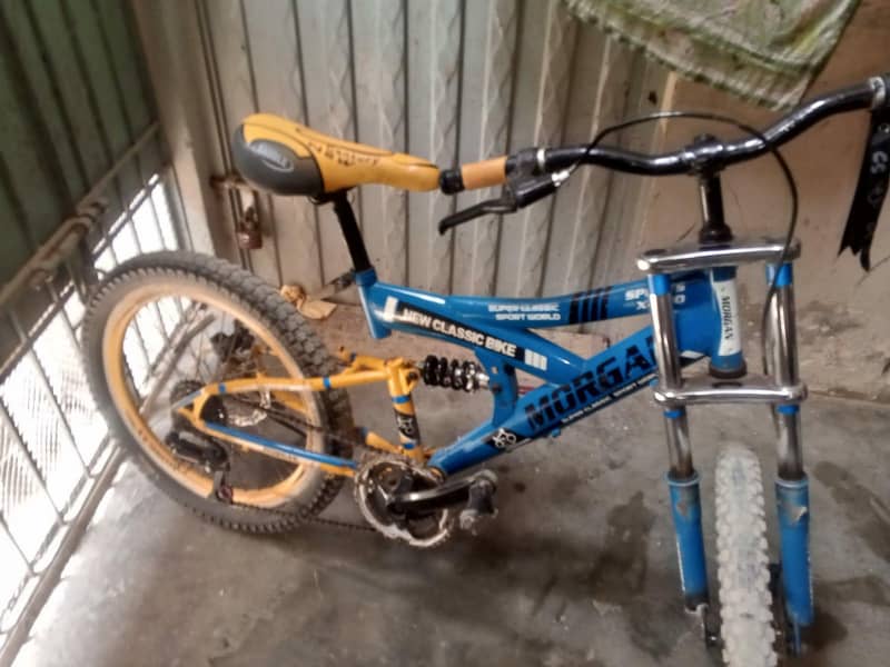 Morgan cycle 8