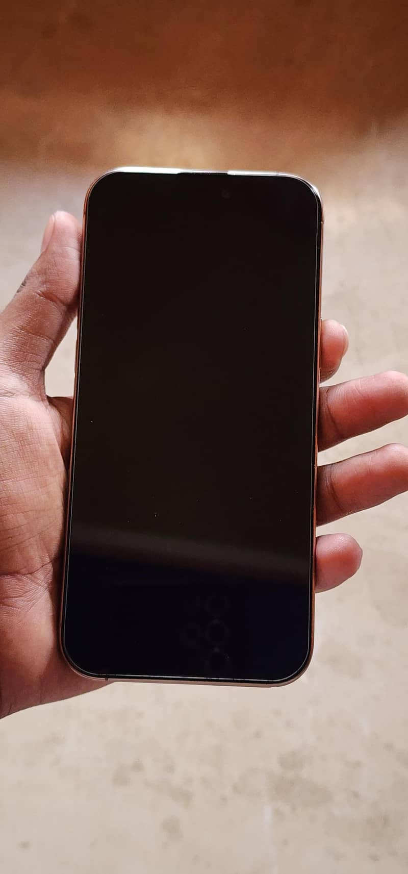 Apple iPhone 16 Pro Max 1