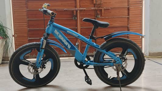 Bmx bicycle kids