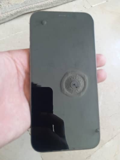 Apple iPhone 12 Pro Max