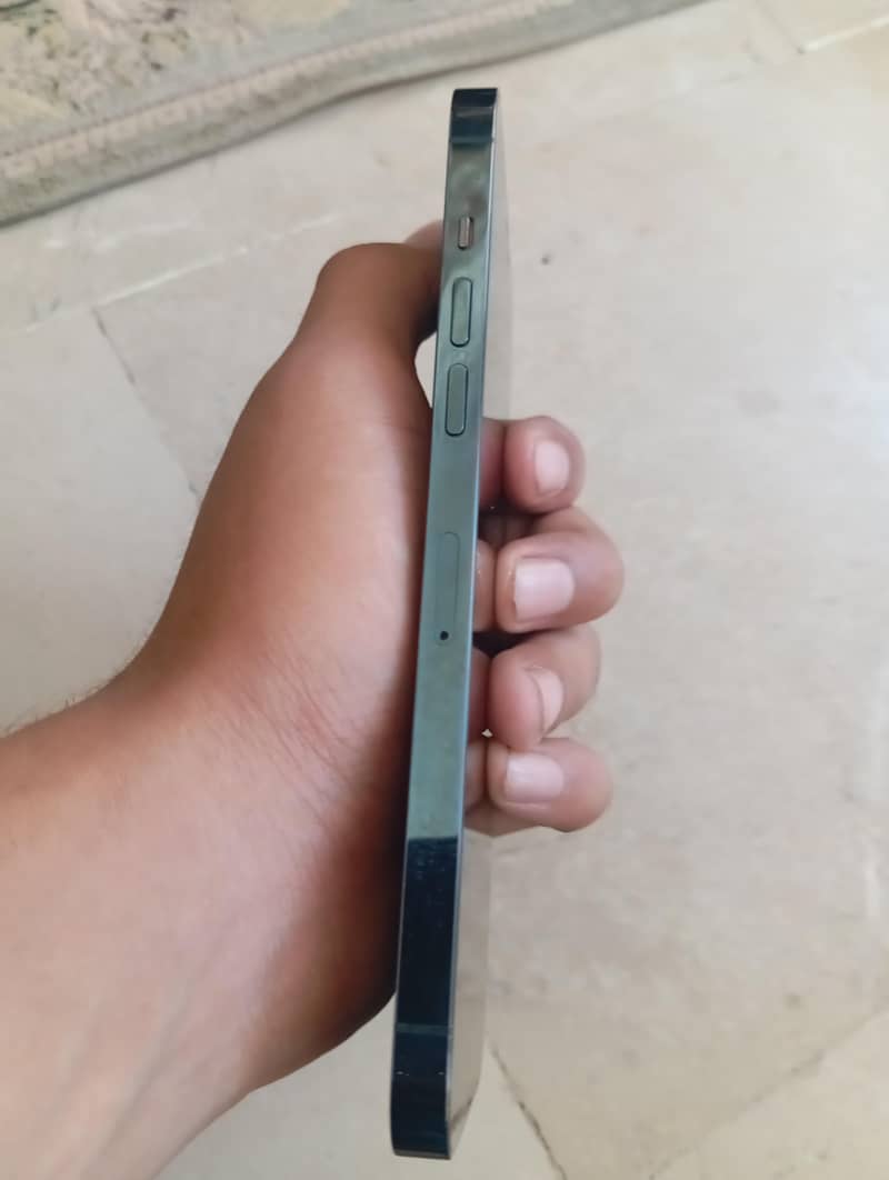 Apple iPhone 12 Pro Max 1