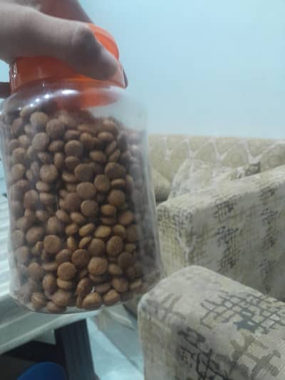 kb cat food 500 g