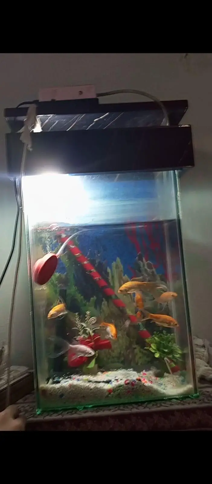 Aquarium — photo 2