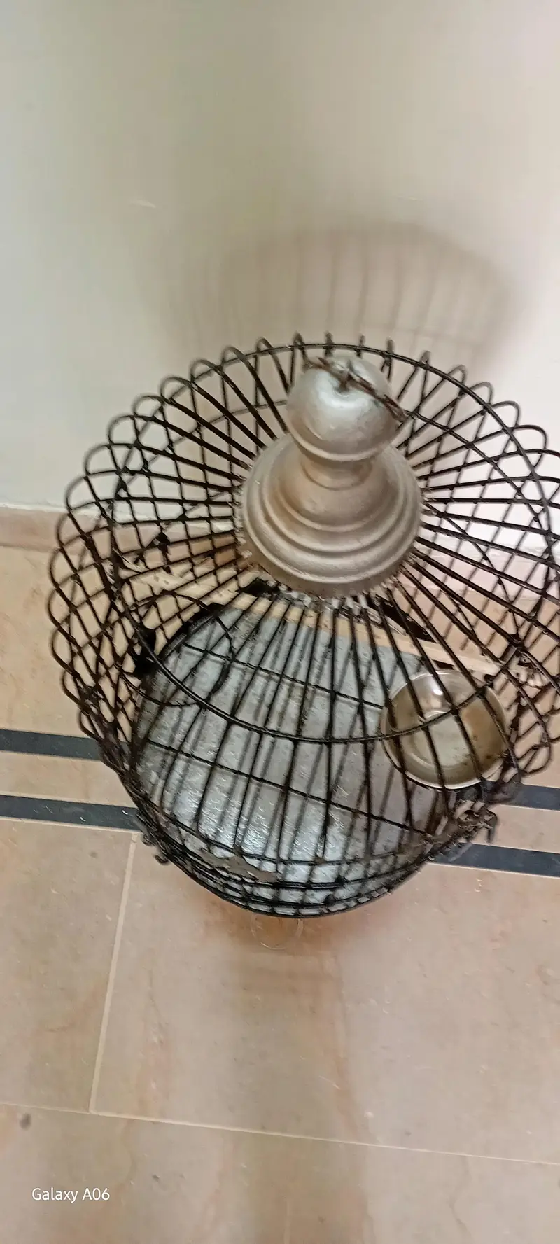 raw cage — photo 2