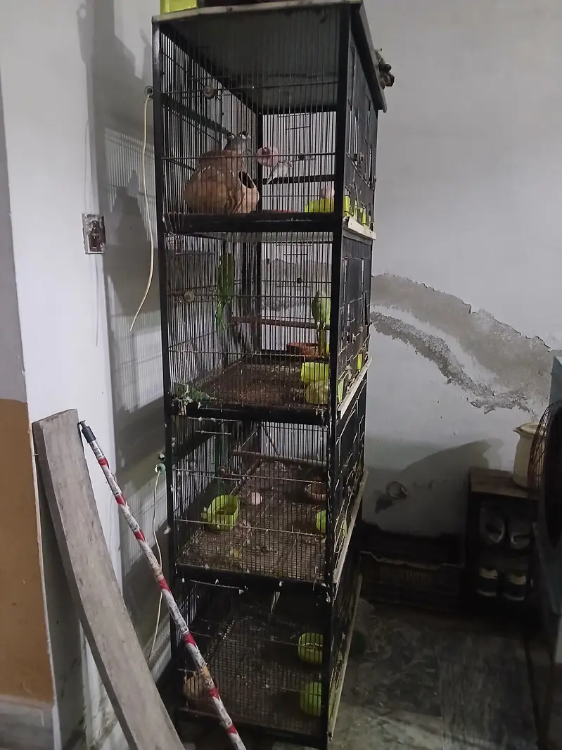 iron cage — photo 2