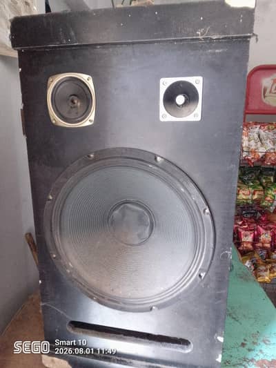 14 inch speakers