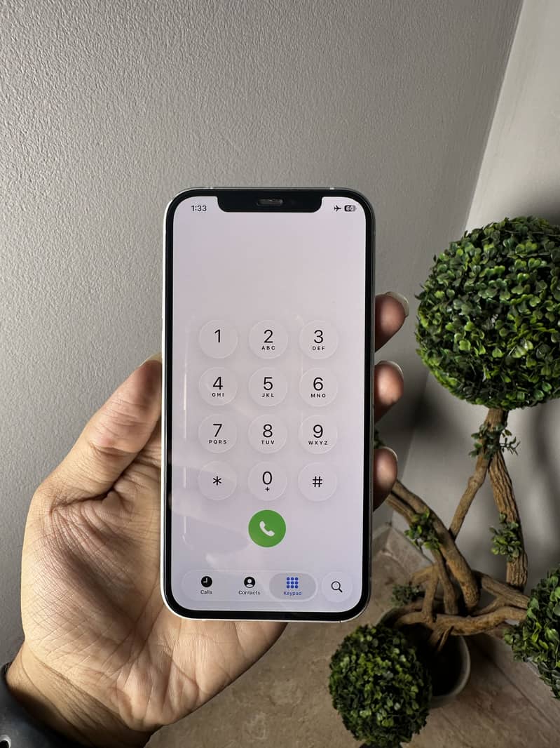 Apple iPhone 12 0