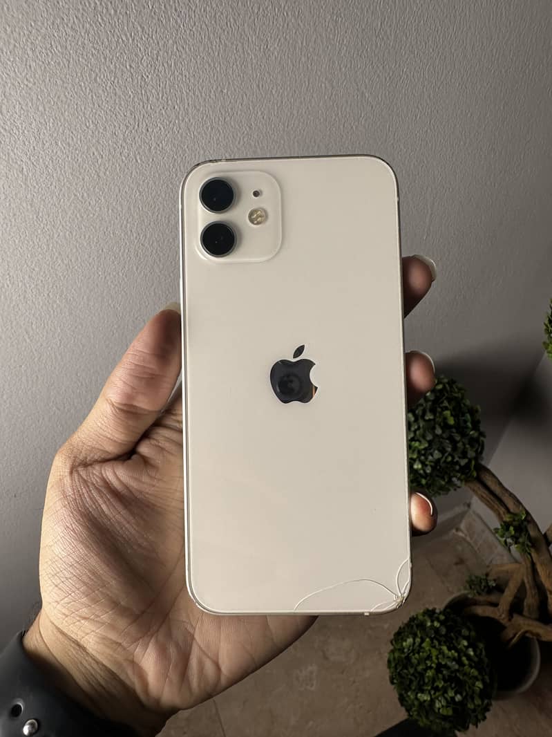 Apple iPhone 12 1