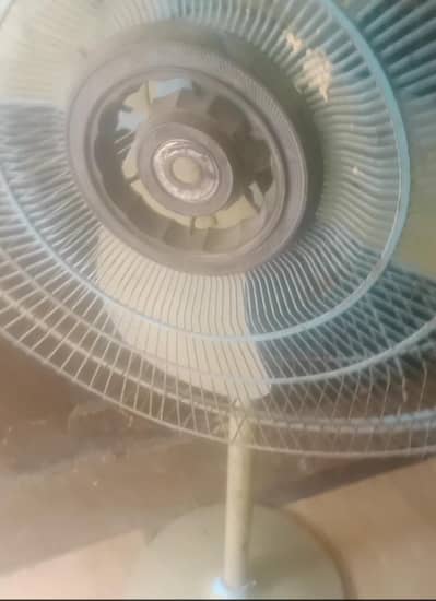 Royal Pedestal Fan – Used – Good Working Condition