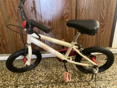 16” Aluminium Cycle