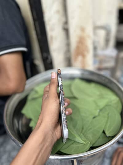 Apple iPhone XR