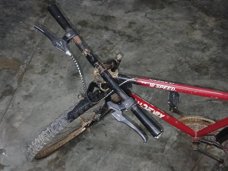 by cycle 4