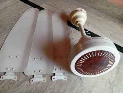 Royal Fancy Ceiling Fan