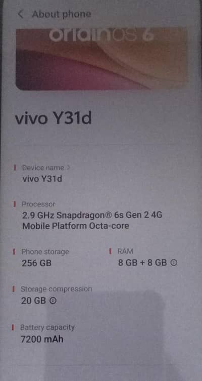 Vivo Y31d