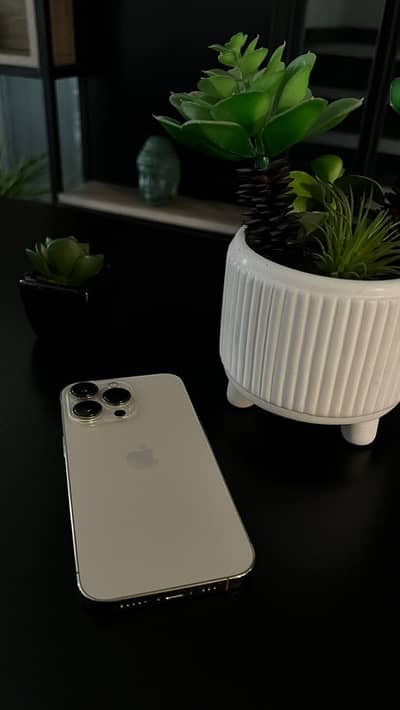 Apple iPhone 13 Pro 256gb