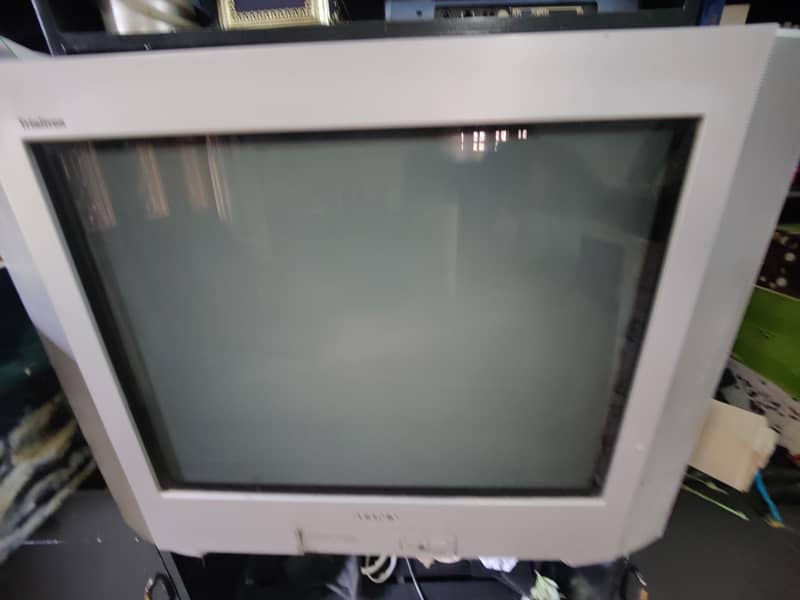 Television 6